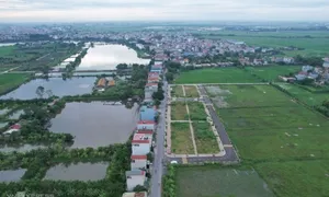 54 lô đất bị bỏ cọc ở huyện Thanh Oai được đấu giá thành công 54 lô đất bị bỏ cọc ở huyện Thanh Oai được đấu giá thành công