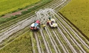 Sống chung 'lũ nghèo' miền Tây