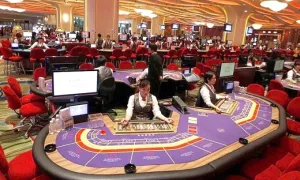 Cho phép người Việt vào chơi casino tại Phú Quốc, Hồ Tràm, Vân Đồn